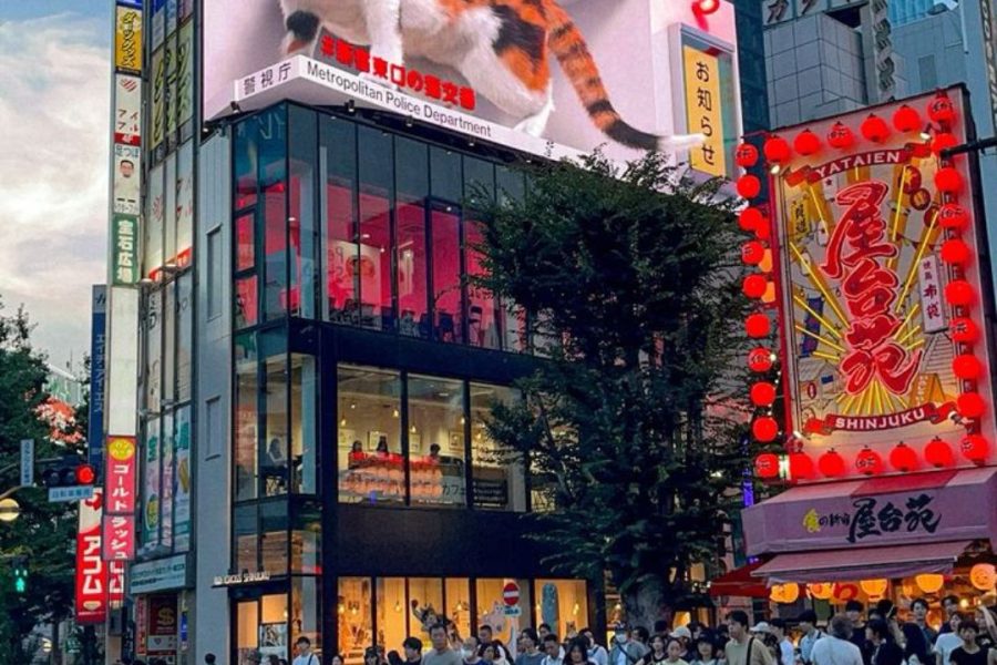 Tentaciones de Japón Tokio & Kioto hasta el 2027