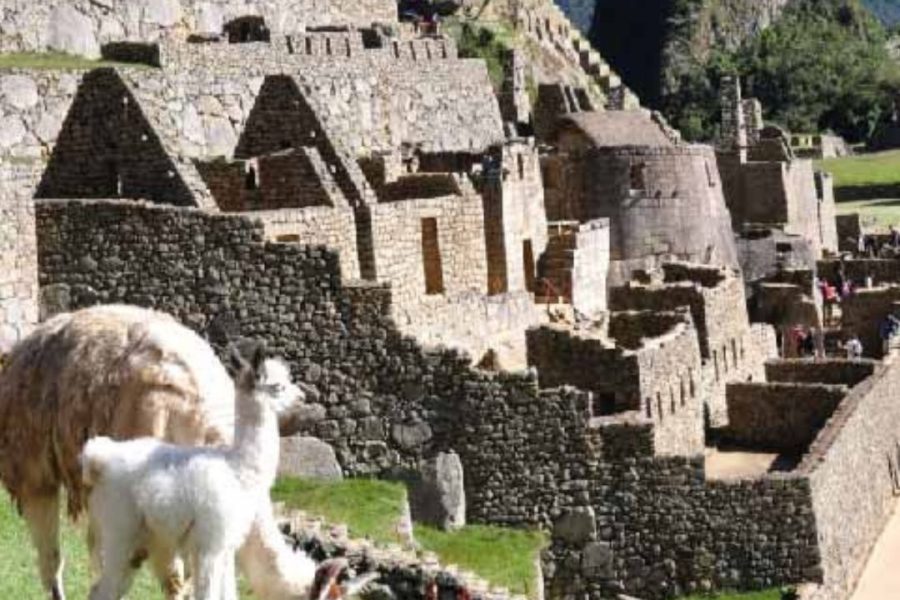 Paquetes a Perú, Magia andina 14 de Marzo
