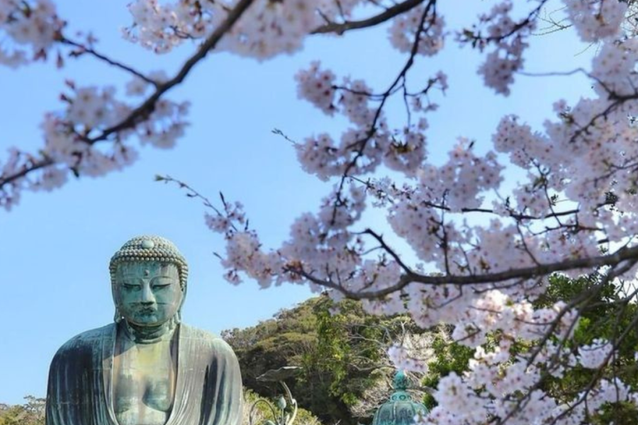 Super Japón 2026 – 2027