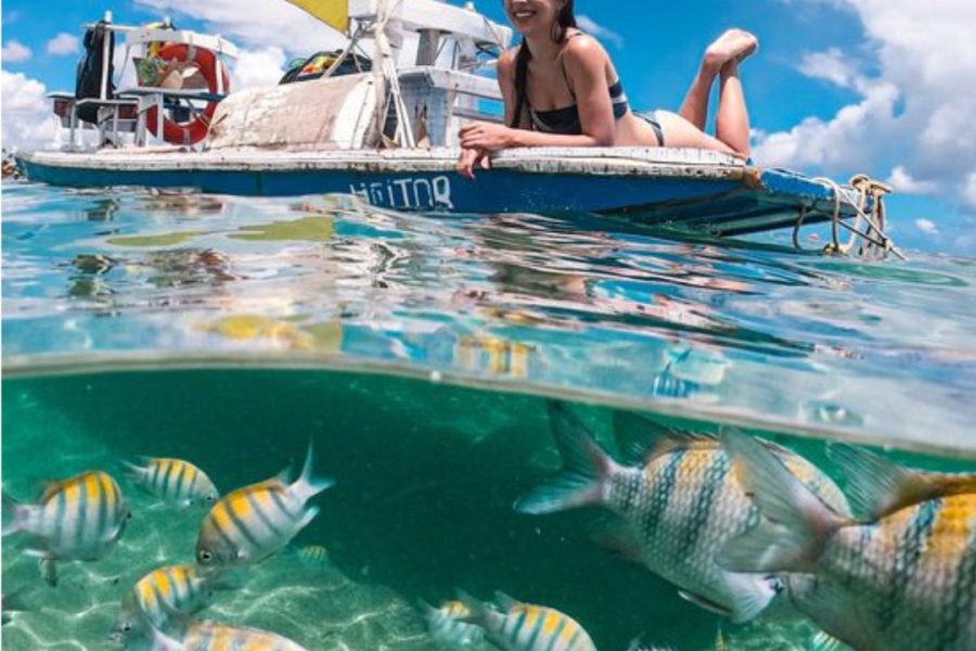 Paquete a Porto de Galinhas, Family Plan